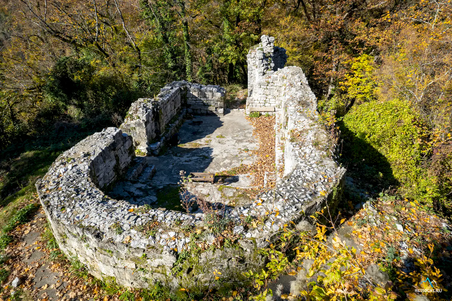 Пасть Дракона