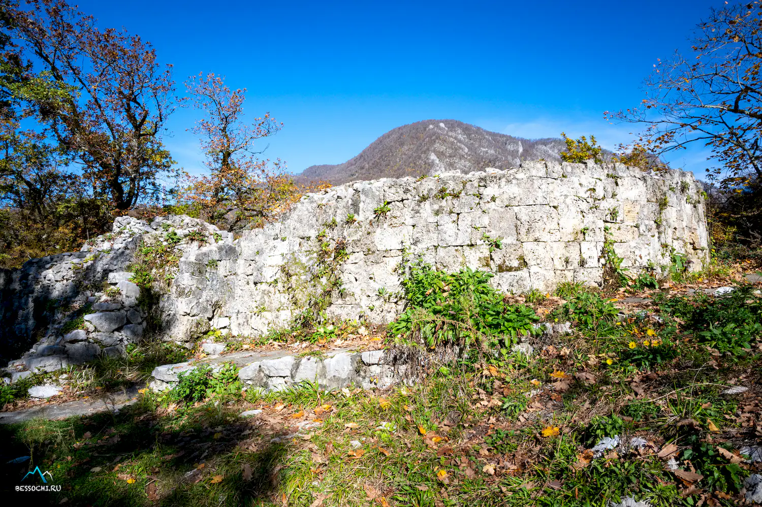 Пасть Дракона