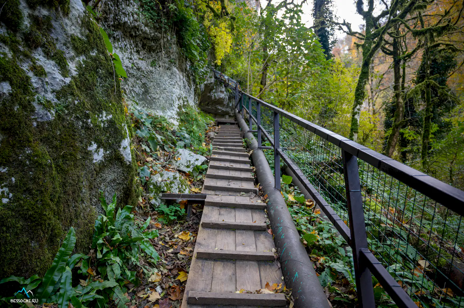 Пасть Дракона