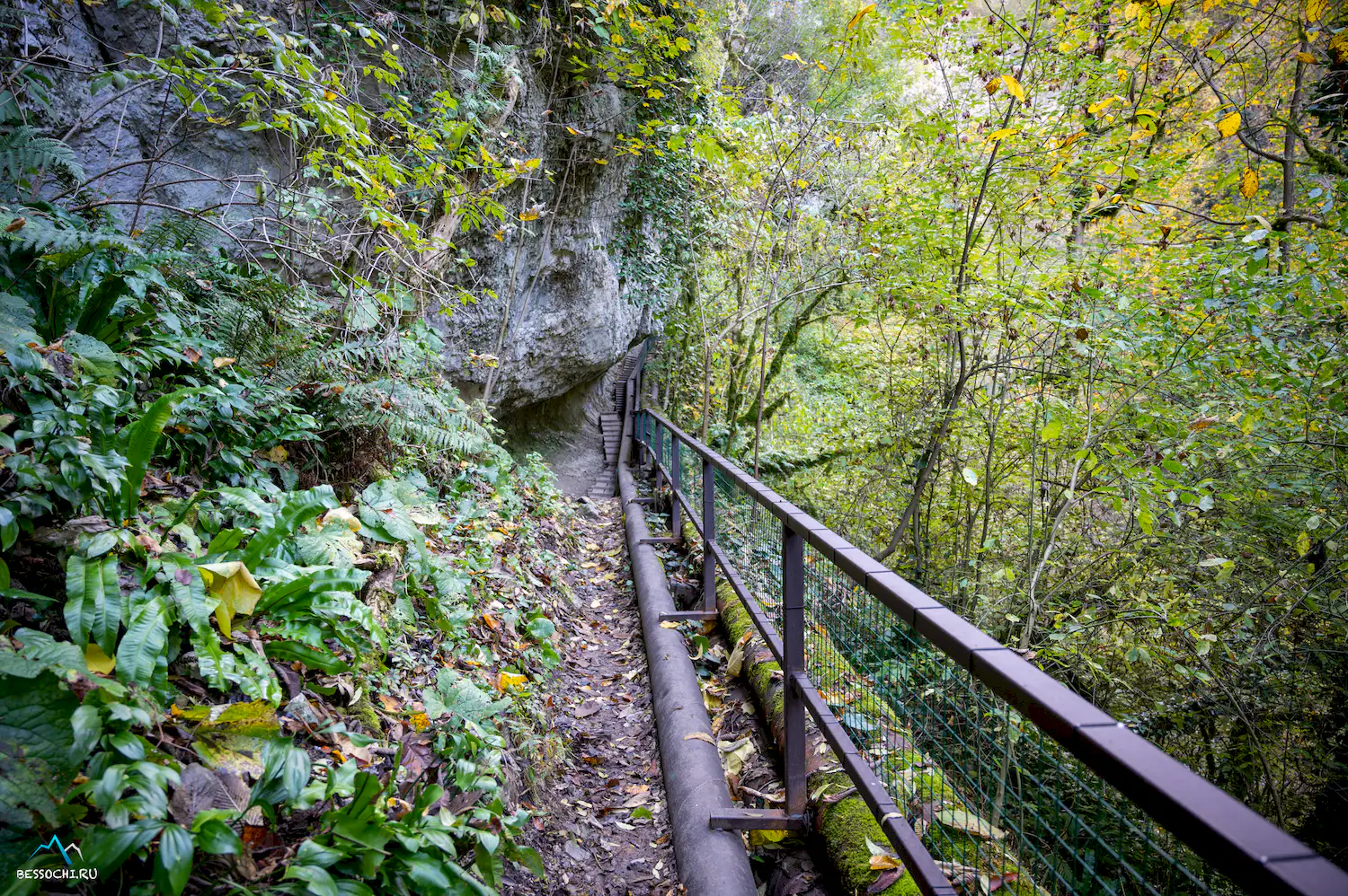 Пасть Дракона