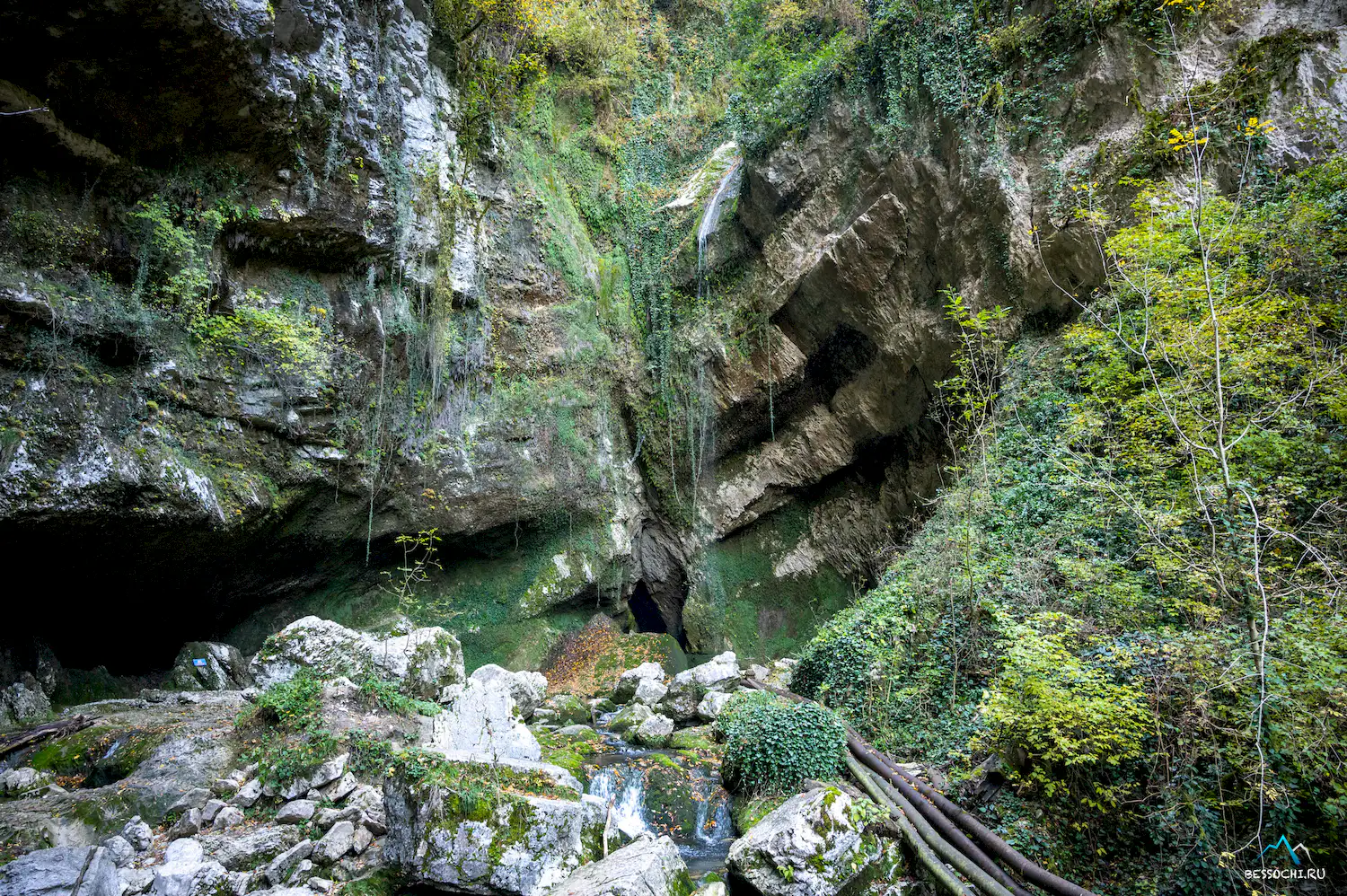 Пасть Дракона