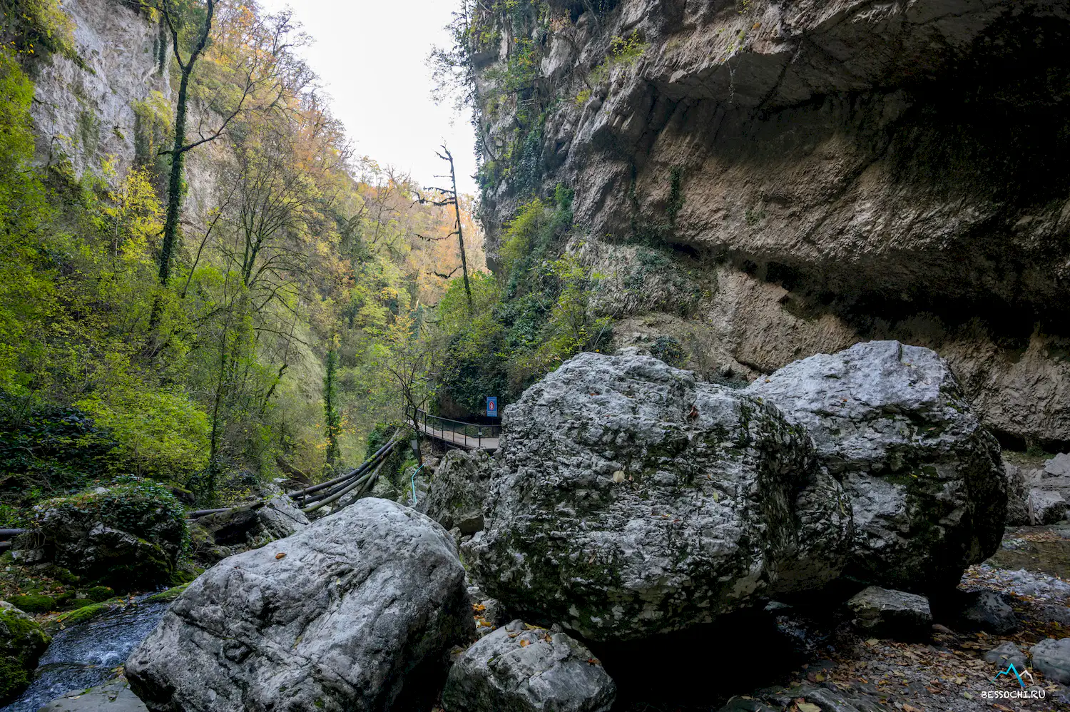 Пасть Дракона