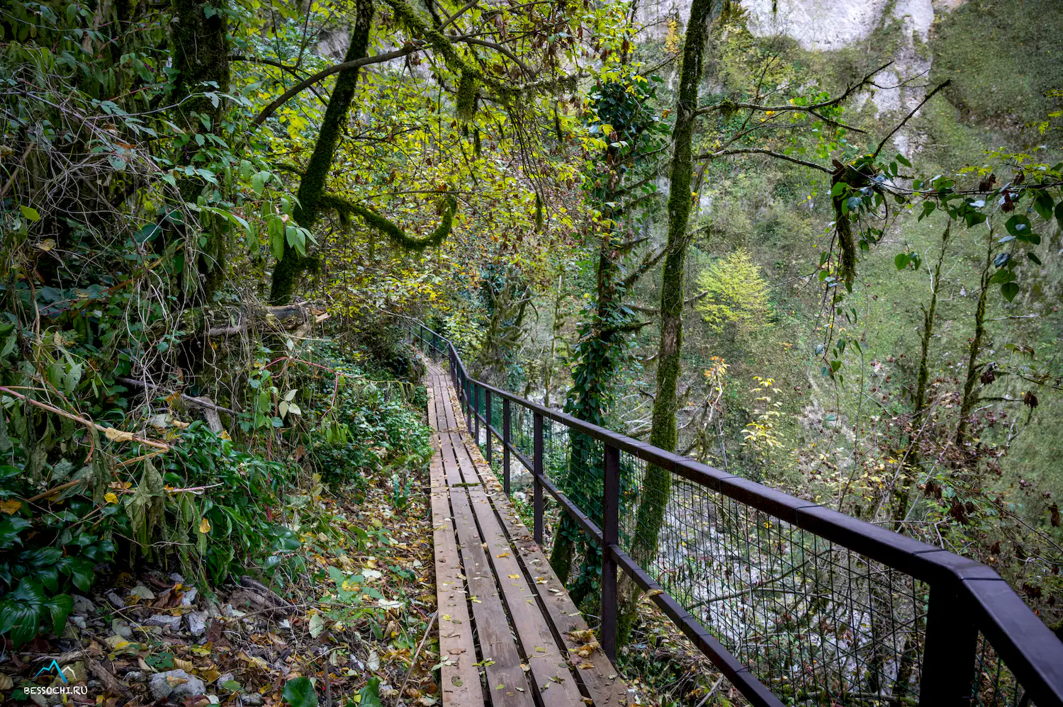 Пасть Дракона