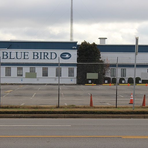 Blue Bird