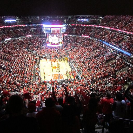 Chicago Bulls