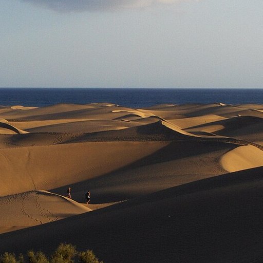 Dune