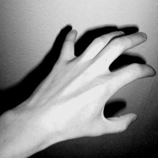 The Left Hand of Darkness