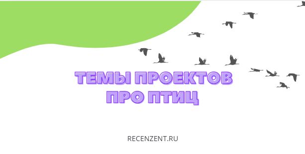 темы проектов про птиц
