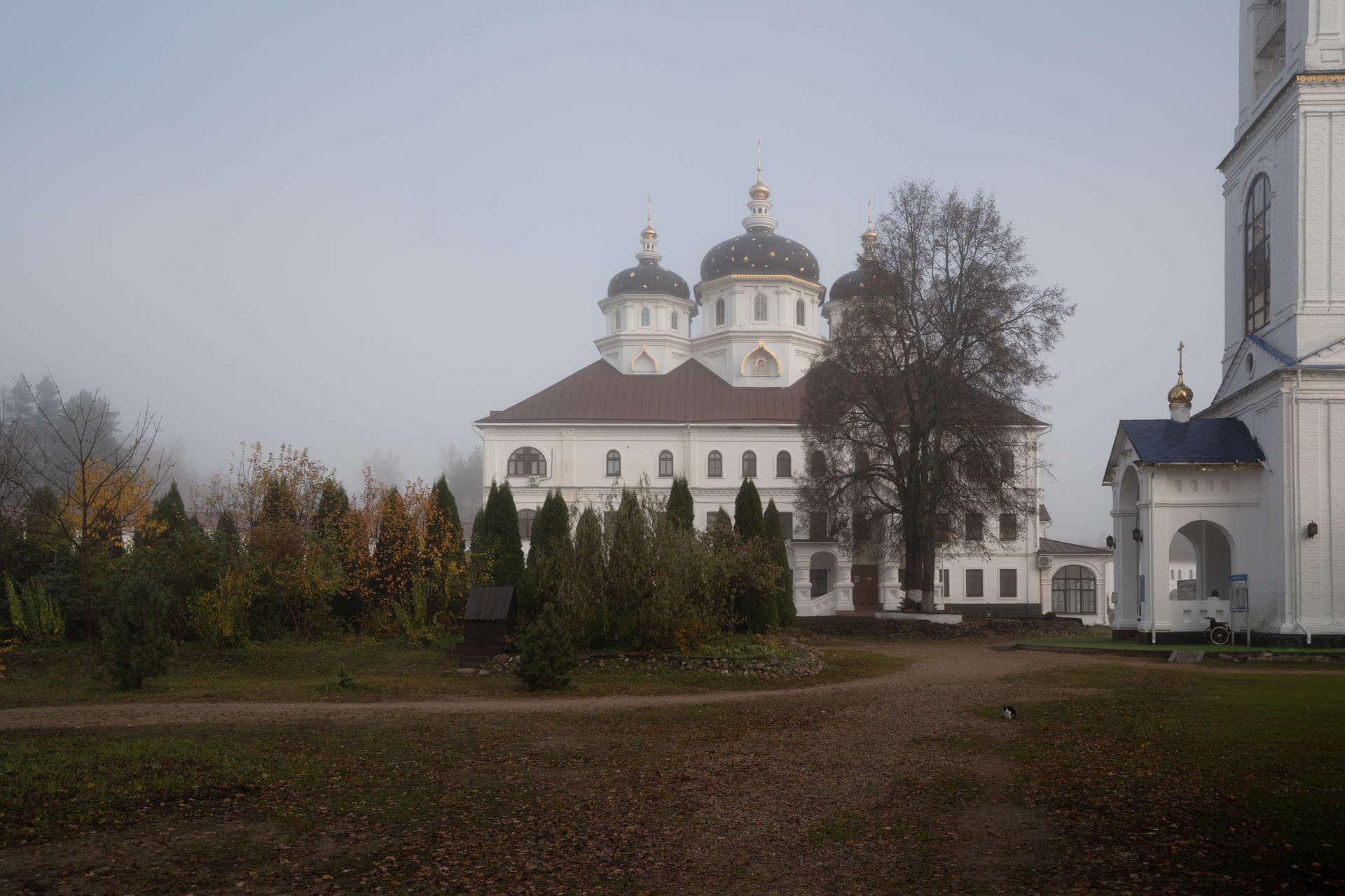 25.10.18 Сольба_001-1