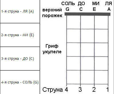 Настройка укулеле на слух