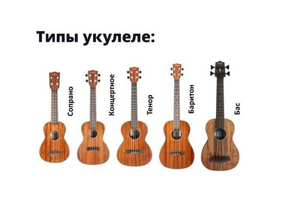 Типы укулеле