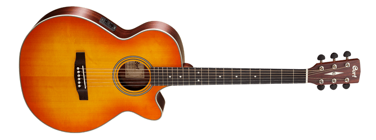  Электрогитара Cort L150F
