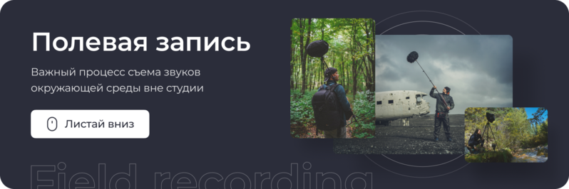 Полевая запись