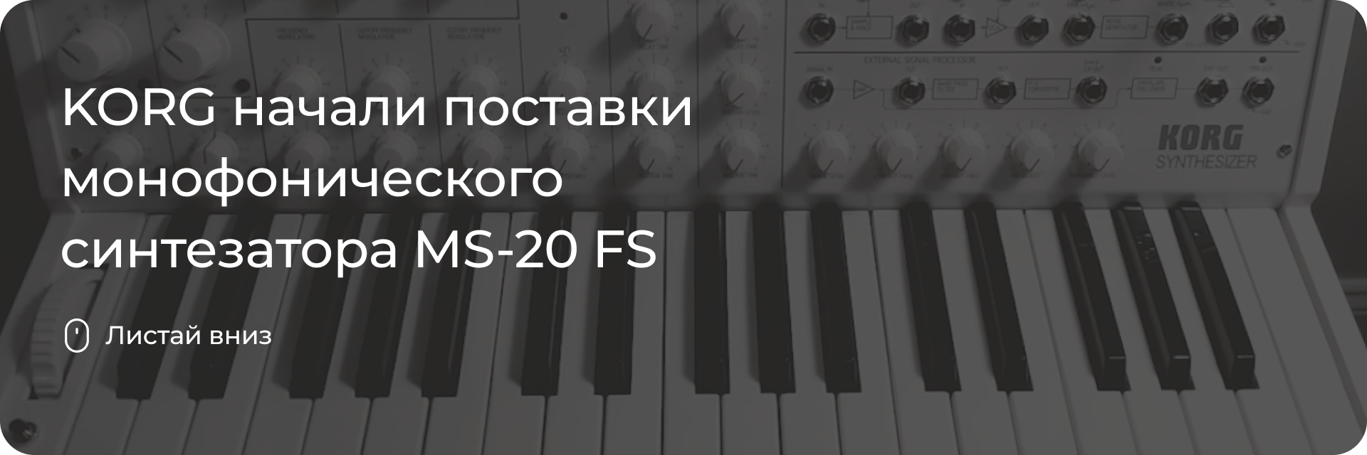 Korg MS-20 FS