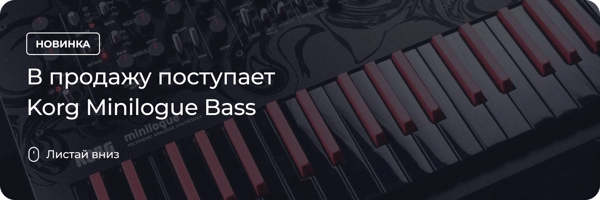 В продажу поступает Korg Minilogue Bass