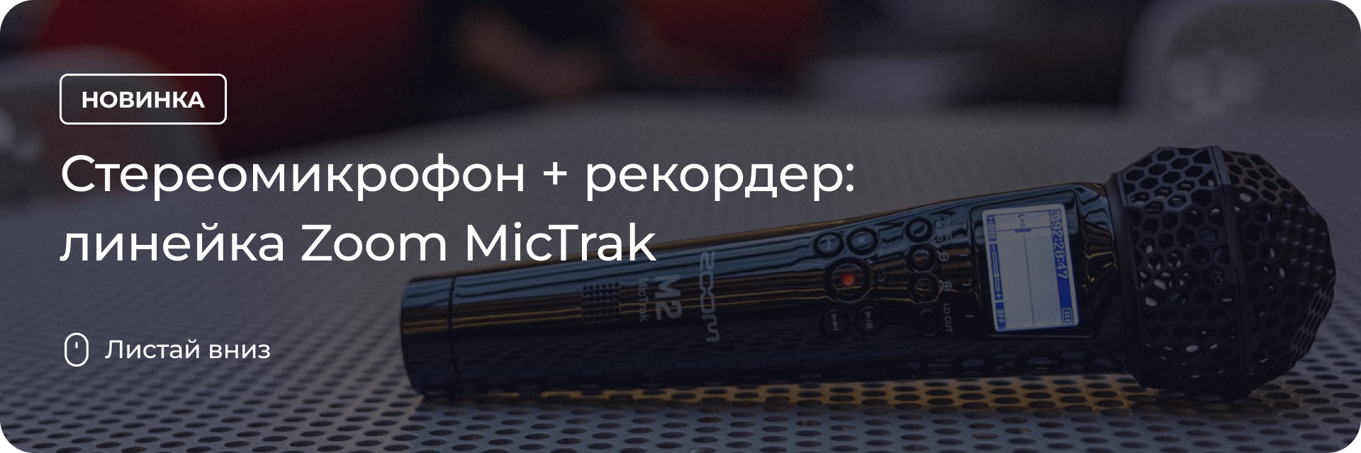 Линейка Zoom MicTrak