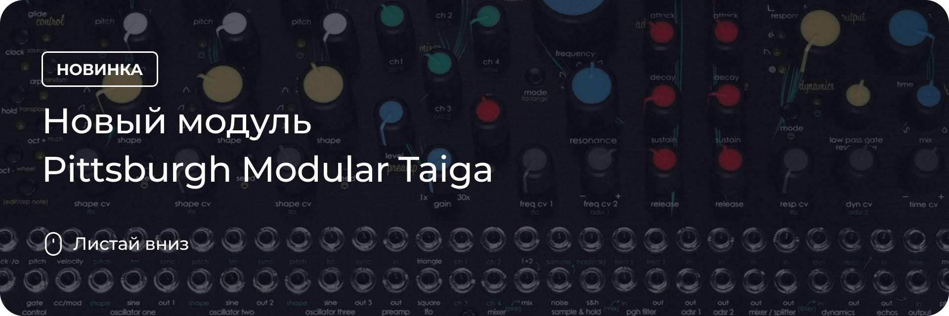 Новый модуль Pittsburgh Modular Taiga