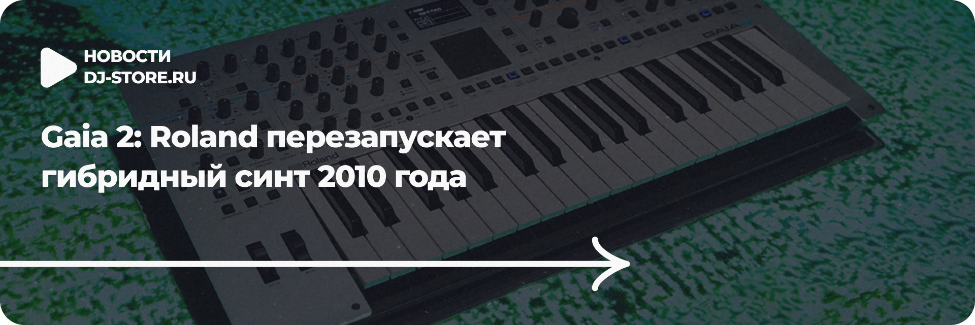 Roland Gaia 2