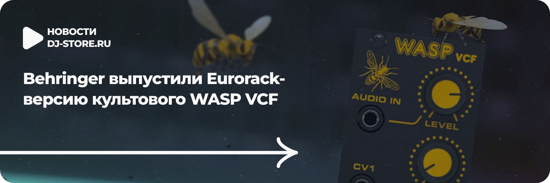 WASP VCF