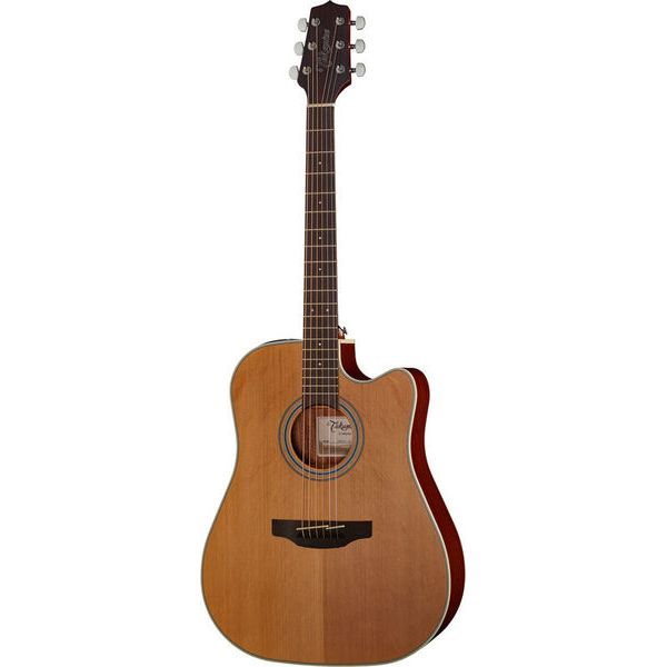 Takamine GD20CE-N