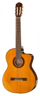Takamine GC5CE Natural
