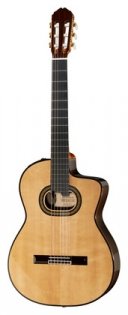 Takamine TH90