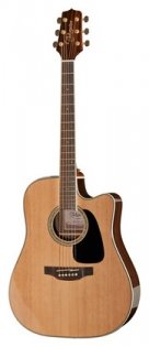 Takamine GD51CE-NAT
