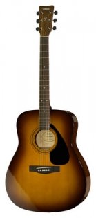 Yamaha F310P TBS Set