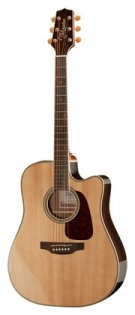 Takamine GD71CE-NAT