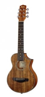 Ibanez EWP14WB-OPN Piccolo