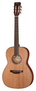 Takamine P3NY