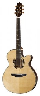 Takamine TSF48C