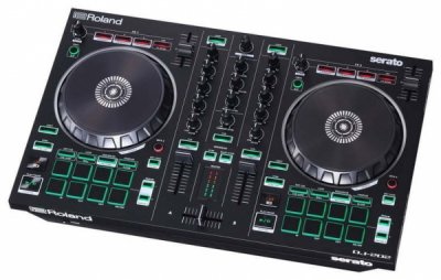Roland DJ-202