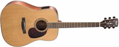 Cort EARTH100F-NS Earth Series