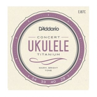 D'Addario EJ87C Titanium