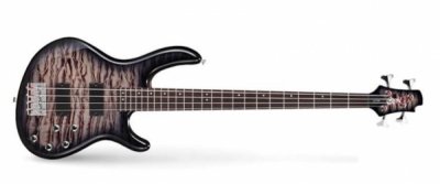 Cort Action-DLX-Plus-FGB Action Series