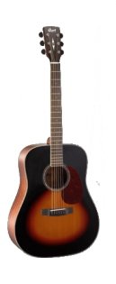 Cort EARTH100-SB Earth Series