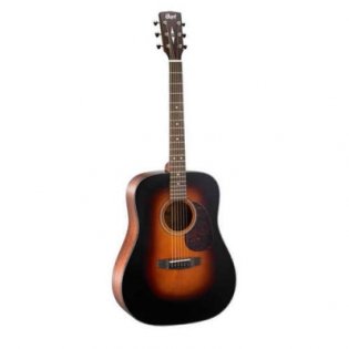 Cort EARTH300V-SB Earth Series