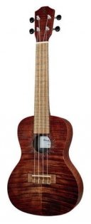 Baton Rouge V4-C sun