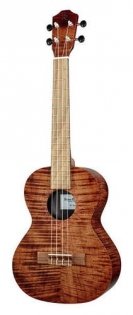 Baton Rouge V4-T sun