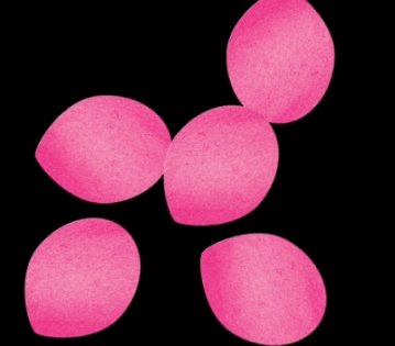 GLOBAL EFFECTS Лепестки роз розовые