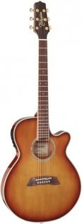 Takamine TSP138CTB