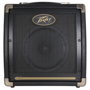 Peavey Ecoustic E20