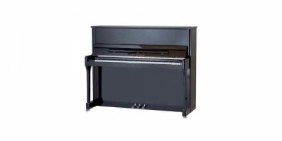 W.Steinberg 190014-1MK Performance P118