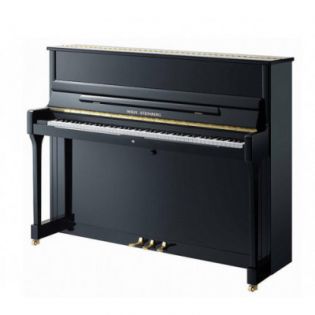 W.Steinberg 190045-1CK Performance P118