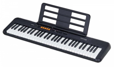 Casio CT-S100