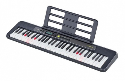Casio LK-S250