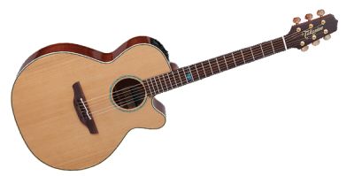Takamine TSF40C