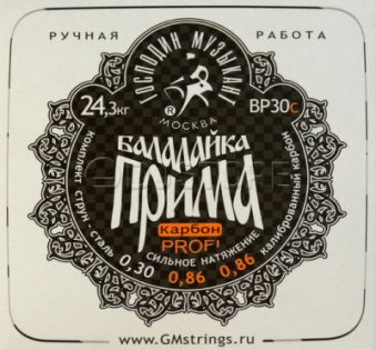 Господин Музыкант BP30C