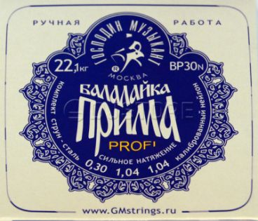 Господин Музыкант BP30N